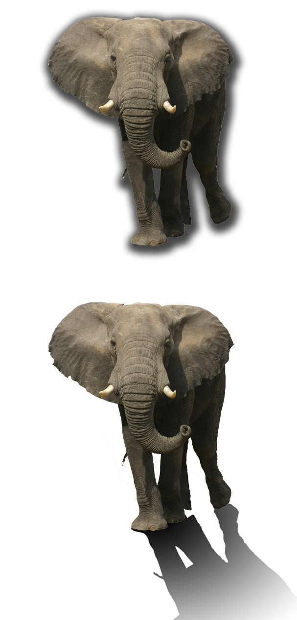 elephant-dropshadow-fun